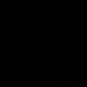 Meet your Posher, Joyana